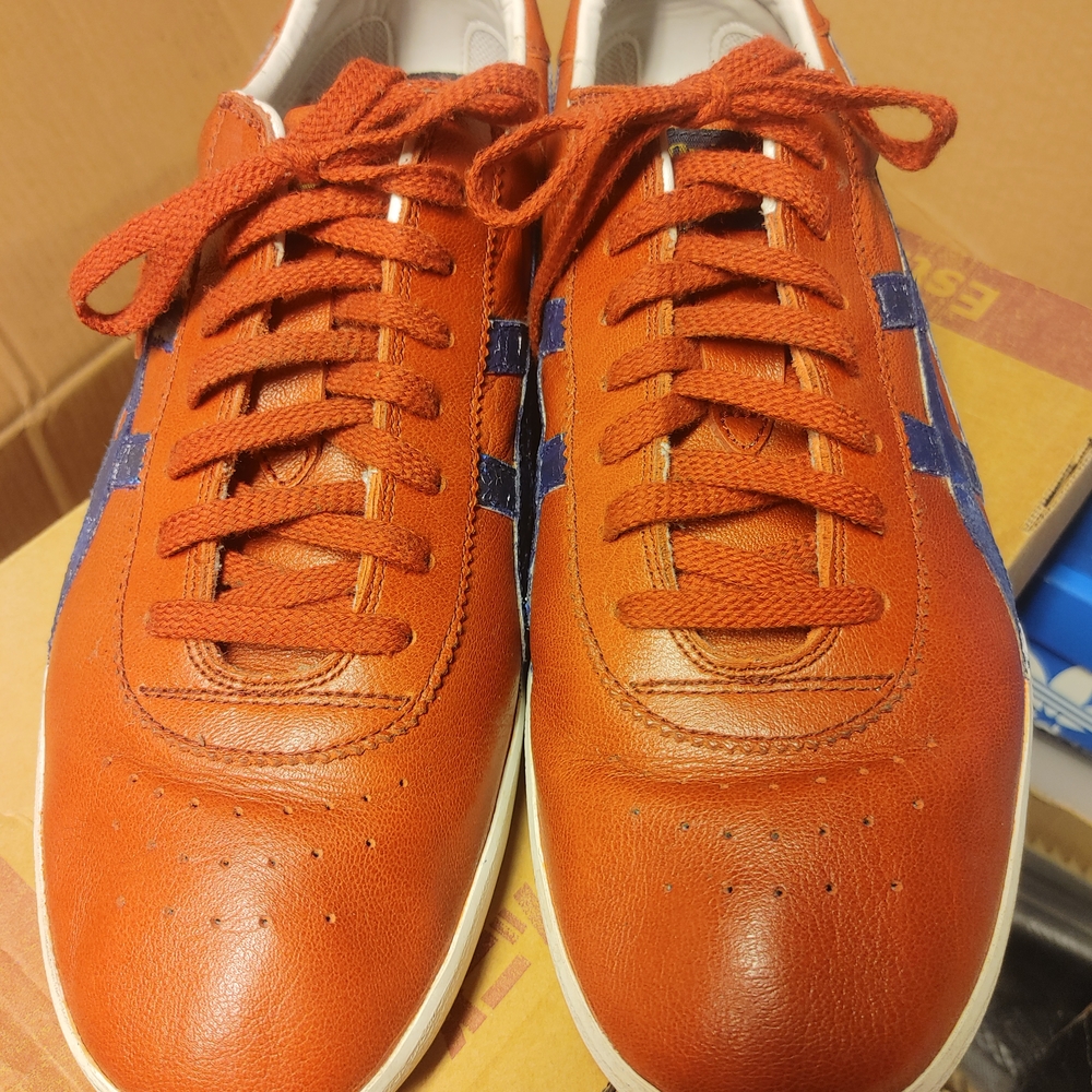 Red and Blue Low-Top Sneakers with Minimalist Design